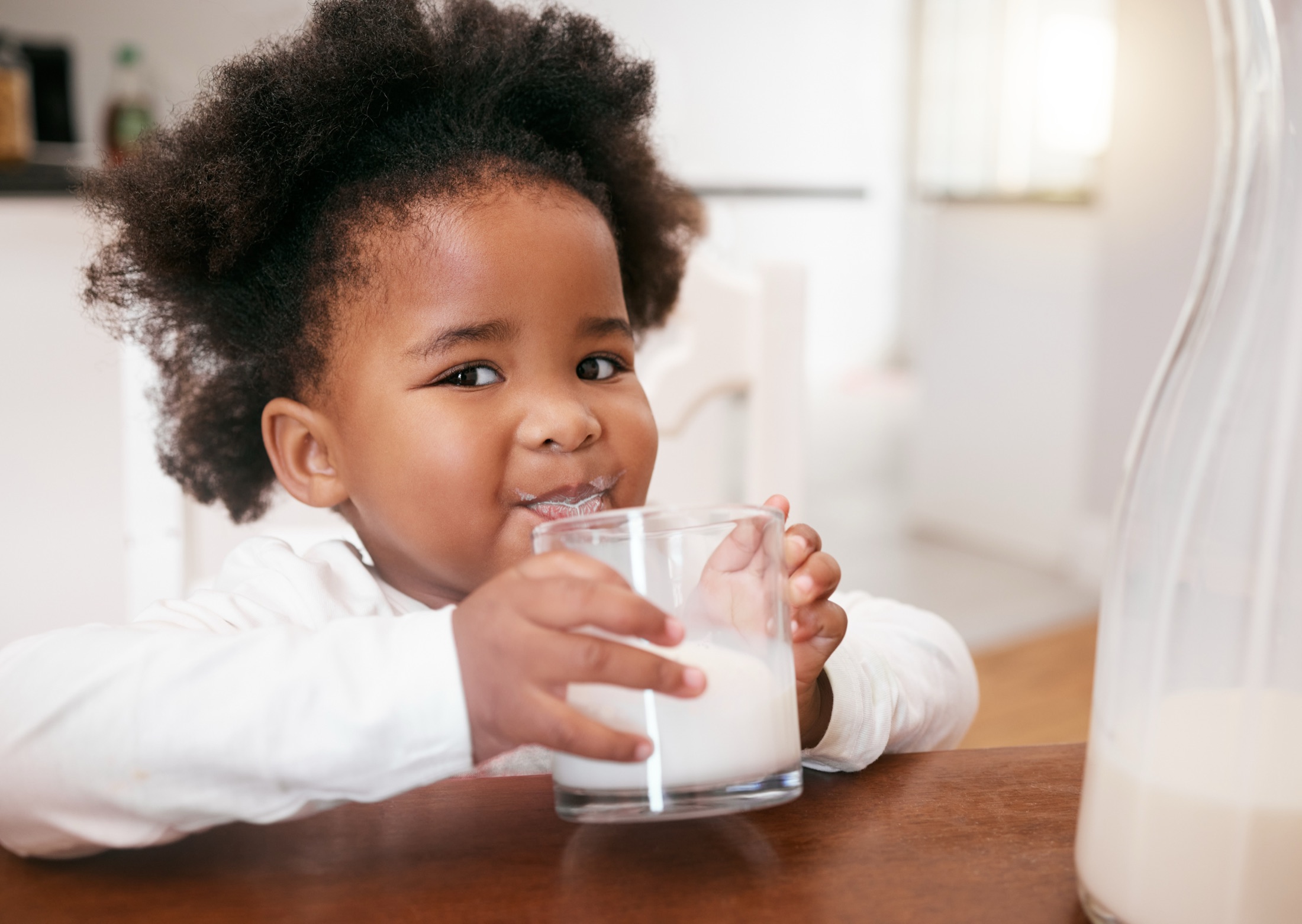 Mold Exposure vs Mold Allergy: Which Test Should You Get?